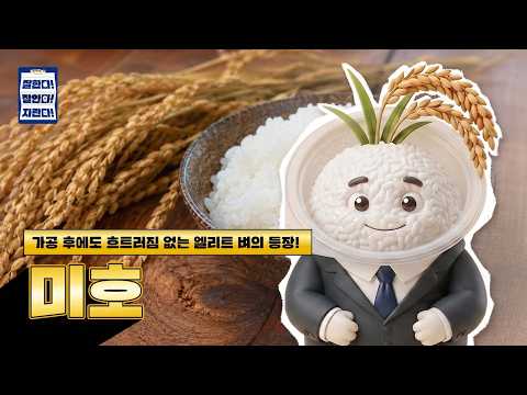 From Refrigeration, Freezing & Reheating! Meet Miho, the Rice That Holds Up After Processing!