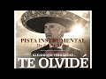Te Olvidé (Karaoke) - Alejandro Fernández / Instrumental by Emely Rivera