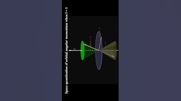 Larmor Precession | Space Quantization