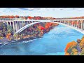 Chicago to Niagara Falls Road Trip 🌊🚗 | Hyderabadi in USA 🇮🇳🇺🇸 (Friends Adventure 🔥)