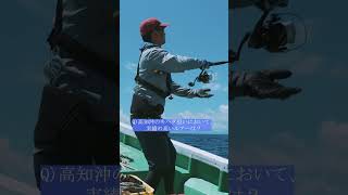 高知沖のキハダマグロ。実績のフィードポッパーとブリットペンシル。　#shorts  #タックルハウス　#tacklehouse #フィードポッパー　#ブリット　#feedpopper #britt