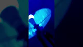 Montagem Polaris Lamp Rs4000