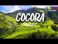 Cocora valley colombia 4k  traveling colombia