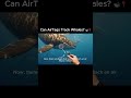 Can AirTags Track Whales? 🐋📍 #Technology #ScienceFacts #Wildlife