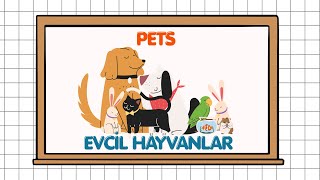2. Sınıf İngilizce Pets & Body Parts Of Pets Kelimeleri Ve Okunuşları Theme 5 Maarif Model