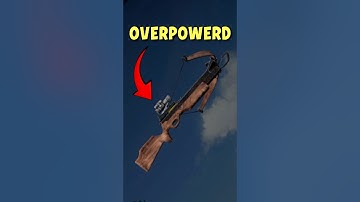 Why The Crossbow is the BEST Weapon In DayZ✅