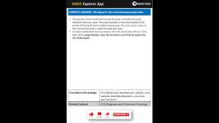 INBDE Case MCQ: Dental Anatomy & Occlusion