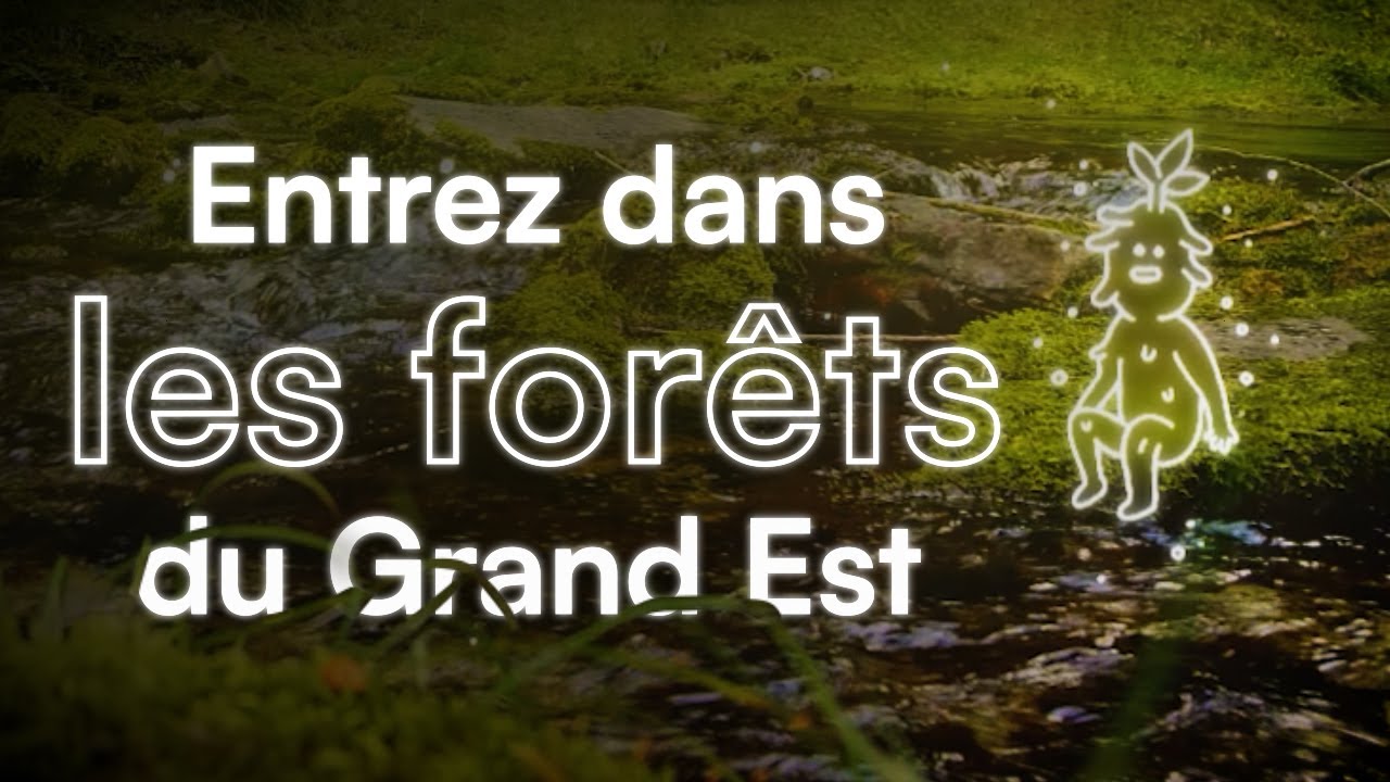 Entrez dans les forêts du Grand Est ! - YouTube