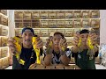 VIRAL LAGI MUSIM BURUNG SAMYONG !!! KITA SEPIL HARGA SAMYONG MUDA POLOS DAN SAMYONG TROTOL NOPENG