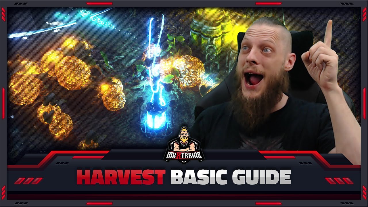 [PATH OF EXILE] 3.11 HARVEST / SACRED GROVE BASIC GUIDE T1/T2/T3