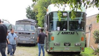 En Vivo Expo de Autobuses Clásicos De México