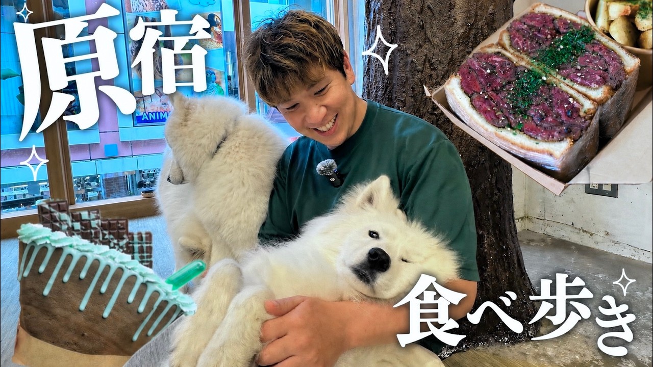 Harajuku Food Tour】The Perfect Day Off: Healing with Samoyeds and