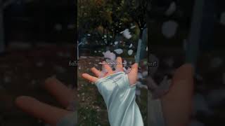 Dancing With Your Ghost – Sasha Alex Sloan | Aesthetic Edit 👻💔 | Lyrics | Shorts #lyrics