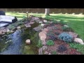 Des Moines Pond built by Just Add Water with Oklahoma Moss Rock