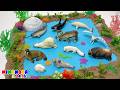 🌍 ¡Viaje por 4 MUNDOS MAGICOS! 🦖 Animales del Ártico Prehistoria Jardín Sabana ✨ Mimonona Stories