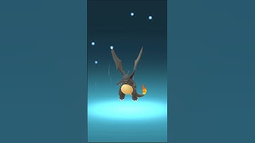OMG! mega evolution of shiny charizard in Pokémon go