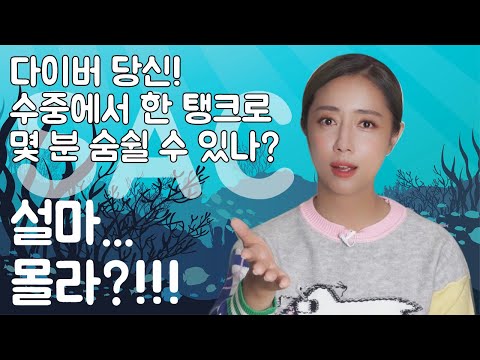 [SAC 계산법] 영화 47m 감독님 공부하세요! 고오급진 다이빙 인강 떠먹여 줄게!