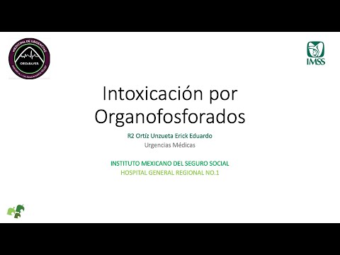 Vídeo: Intoxicació En Gats (visió General)