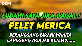 LUDAHI SAYA JIKA GAGAL , Dia Akan Ngajak Ketemu, Pelet Ampuh Merica Birahi Wanita !
