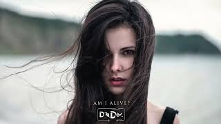 Dndm - Am I Alive ？ (Original Mix)
