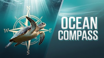 How Turtles Navigate the Oceans: The Science Behind Their Incredible Journey #TurtleNavigation