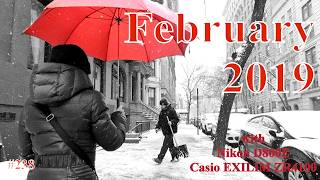 My Photographic Diary: 2019 February No. 238