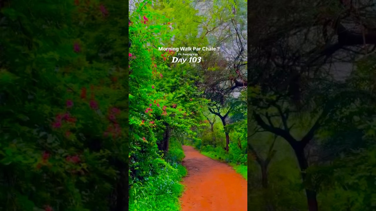 Sanjay van delhi | biggest forest park in delhi 