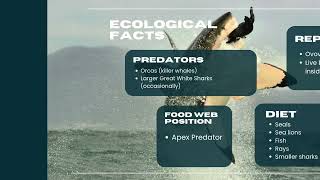 The Great White Shark Lab 9 - GEOL 105