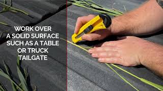 Determining Growth Stages in Small Grains