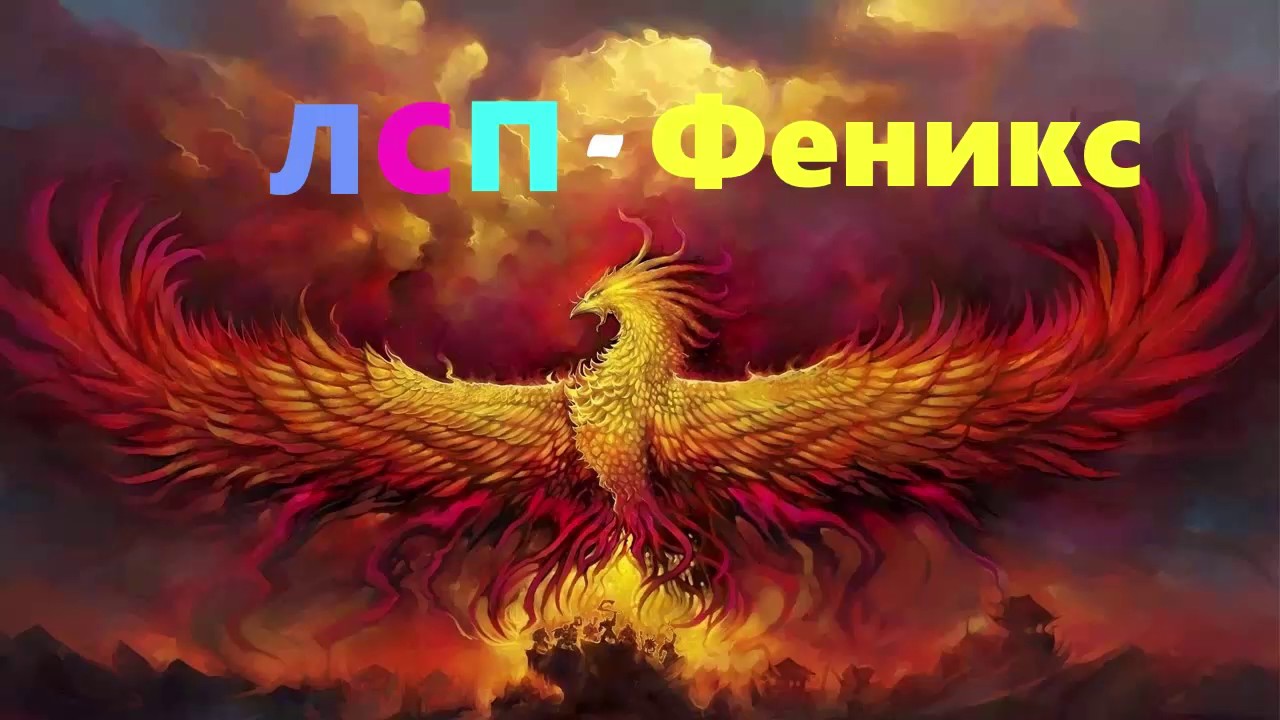 Феникс авто юг