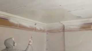 PaintTech - Spraying Ceilings