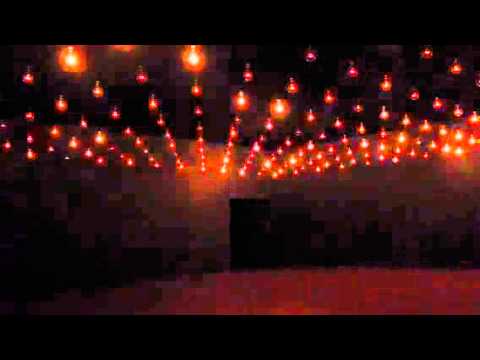 Rafael Lozano-Hemmer, Pulse Room, installation au MAC, 20 j