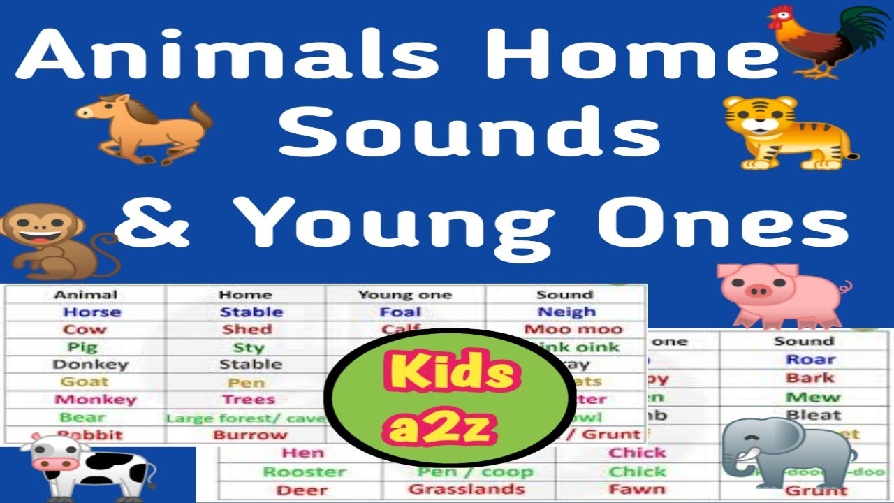 Animals and their Young Ones | Name of Animal Sounds | Animal Homes | Animals and their Babies