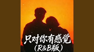 只对你有感觉 (R&B版)