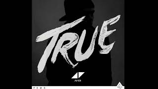 Avicii - Hey Brother