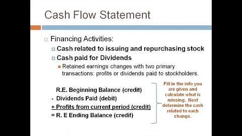 Cash Flow Statement - 3.  Investing and Financing Sections    Janice Cobb