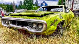 Unreal 2025 Junkyard Finds: Hemi, Camaro, GTOs - ALL Left to ROT!