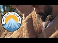 Welcome To Petroyama Welcome To Petroyama