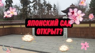 Японский сад открыт? (20.03.23) г. Краснодар (4k UHD)