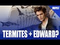 Termites Eating Edward from Twilight?!