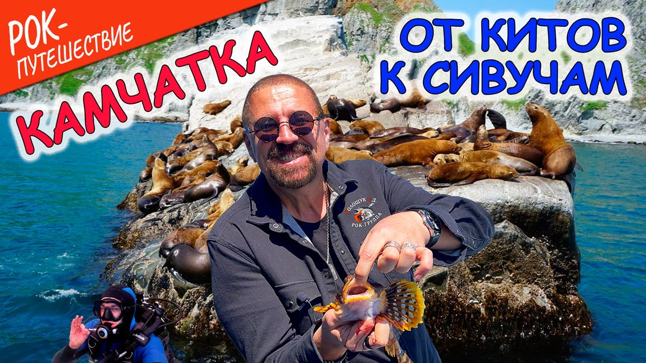 #РокПутешествие