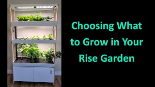 Choosing What to Grow in Your Rise Garden