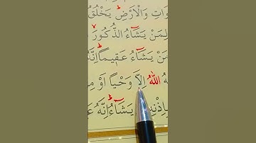 سورة الشورى الأية 49 إلى 51 بصوت سعد الغامدي