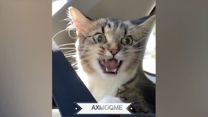 Jozibani korsatish Irina Shmeleva tomonidan erotik film