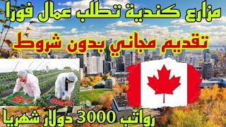 الهجرة الى كندا 2023 مزارع كندية تطلب مهاجرين فورا رواتب 3000 دولار شهريا