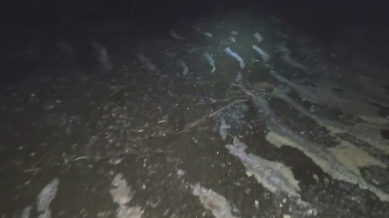 Geological Age River Wave Bedform