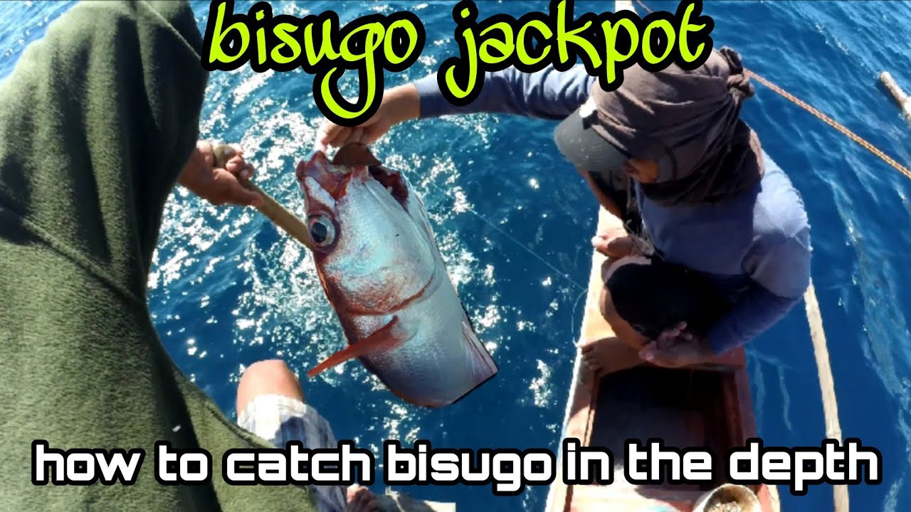 bisugo jackpot/ how to catch bisugo in the depth - k-do vlog