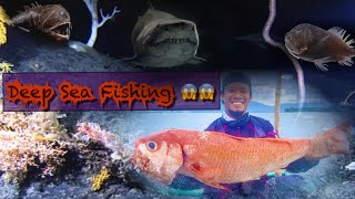Not a bad start for the month!!😁 let’s go Ruby snapper!😂🤣