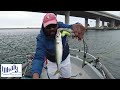 Finally a few mackerel and    polygone fishing ep11