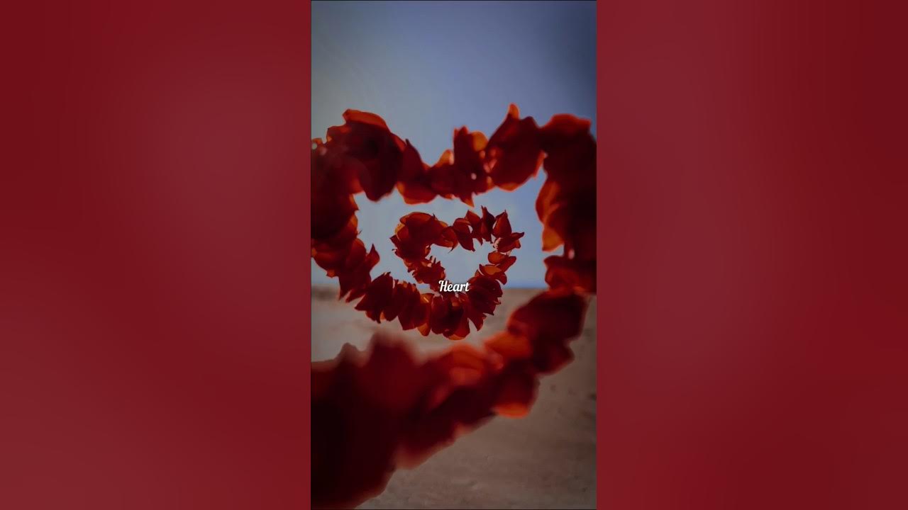SNAP~ Rosa Linn💛#snaplyrics #rosalinnlyricssnap #trending #trendingshorts #fyp #fypviralシ #music SNAP~ Rosa Linn💛#snaplyrics #rosalinnlyricssnap #trending #trendingshorts #fyp #fypviralシ #music